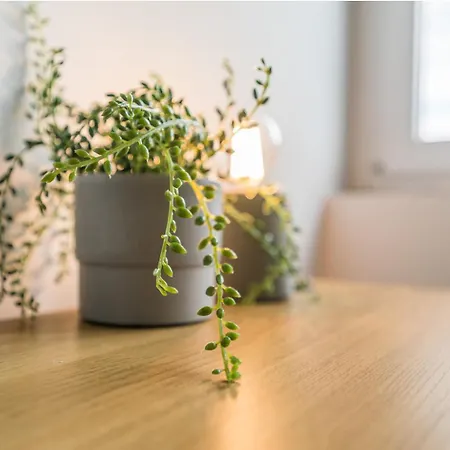 Whizzy - Cozy And Peaceful Place, 12 Minutes From Old Town & Seaside *